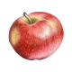discovery art apple logo