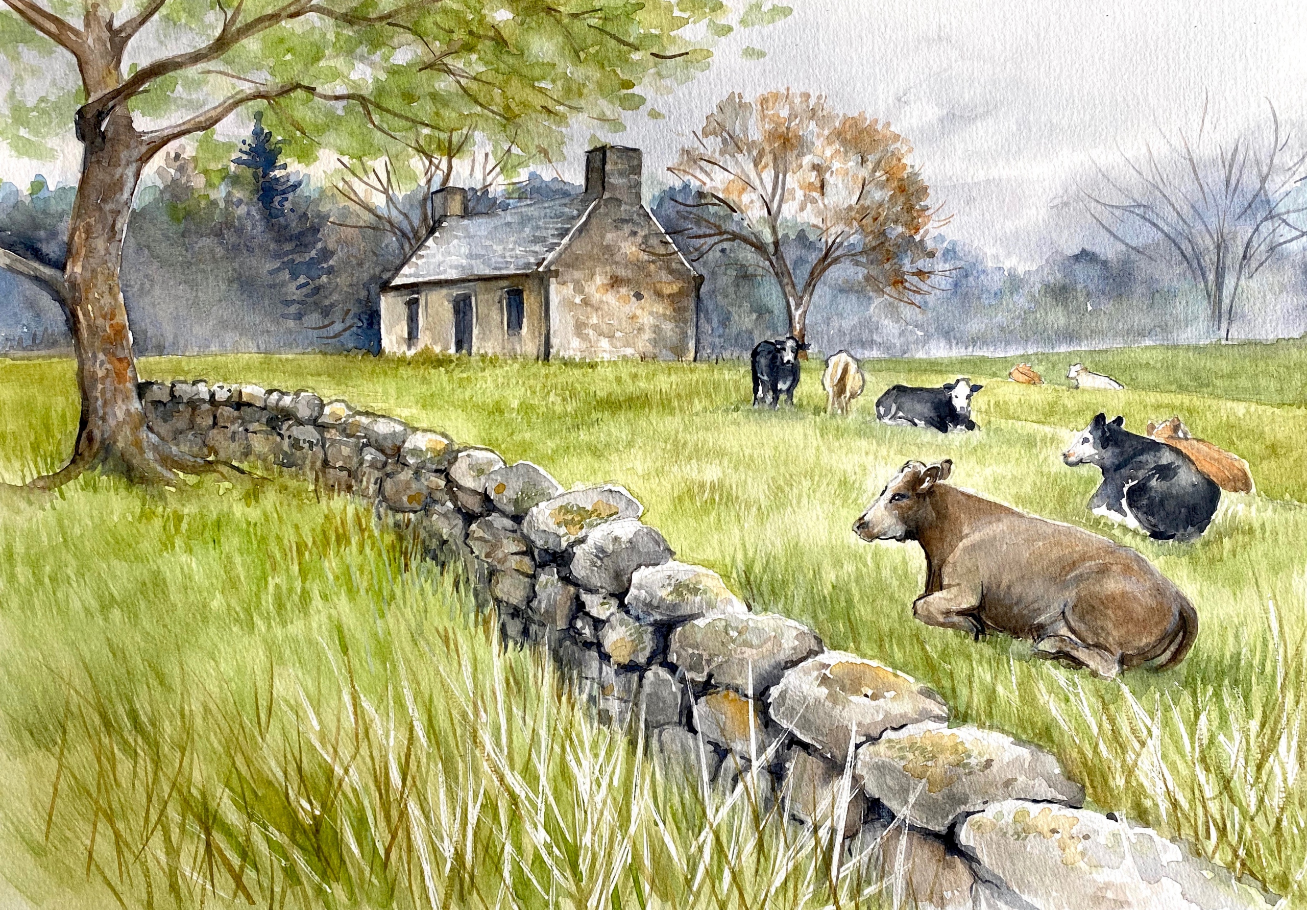 croft cows and composition watercolour painting