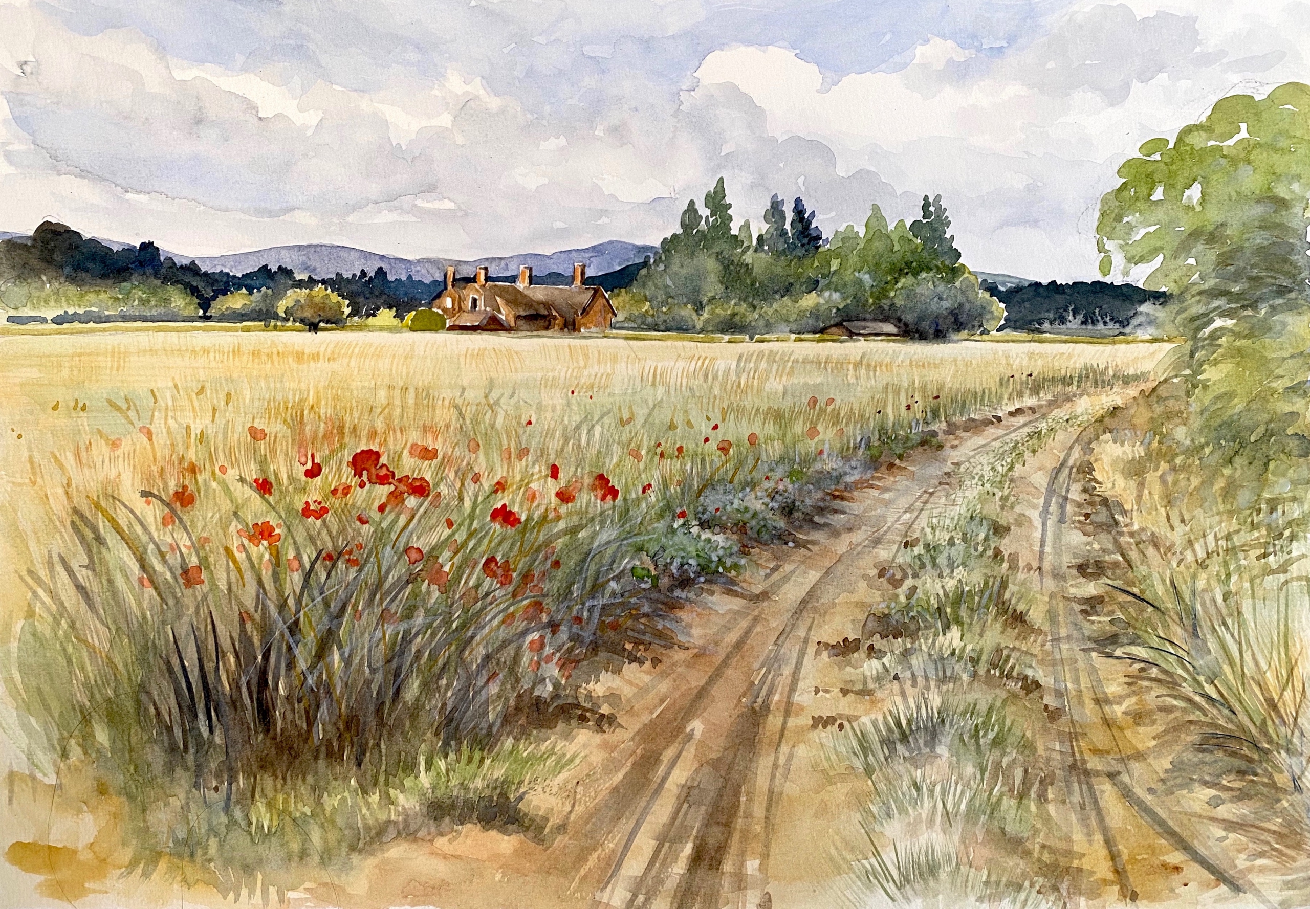 Rural Landscape Illustrative Landscape painting