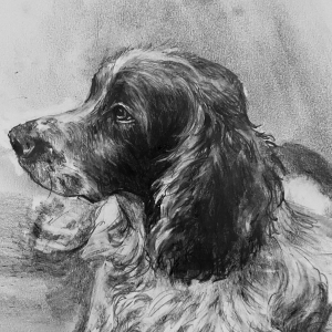 drawing animals in graphite art class