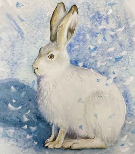 watercolour painting of a snow hare