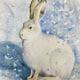 watercolour painting of a snow hare
